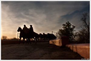 areco tradition gaucho horse